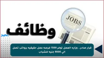قرار صادر.. وزارة العمل توفر 1500 فرصة عمل حقيقية برواتب تصل إلى 9000 جنيه للشباب